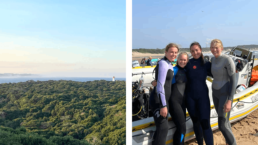 Developing skills and broadening my horizons with a Marine Biology & Reef Conservation internship, Intern Abroad HQ