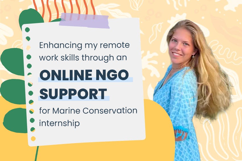 Enhancing my remote work skills through an online NGO Support for Marine Conservation internship, Intern Abroad HQ