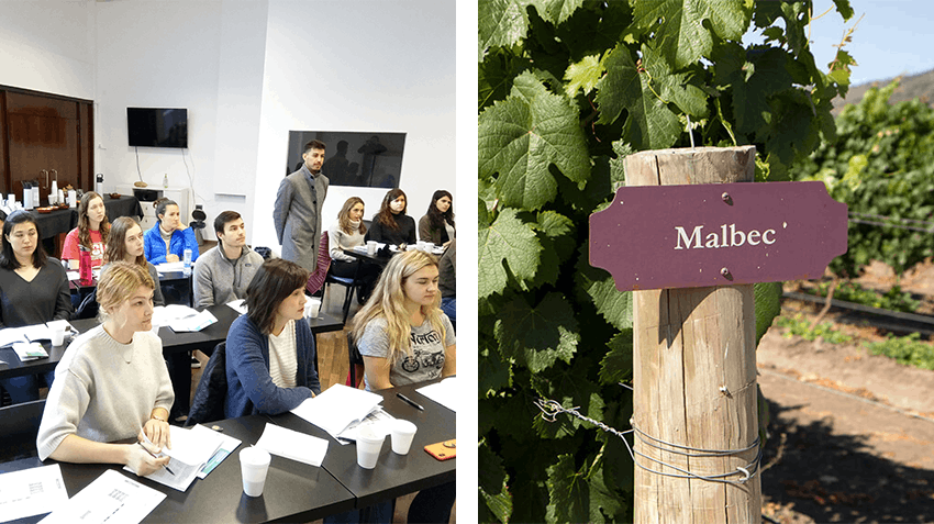 Your guide to internships in Argentina with Intern Abroad HQ