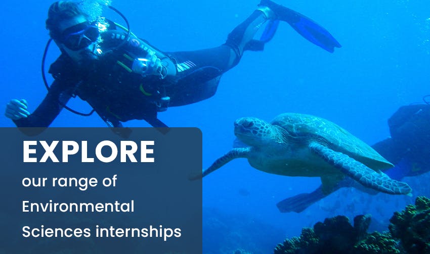 Explore our range of Environmental Science internships