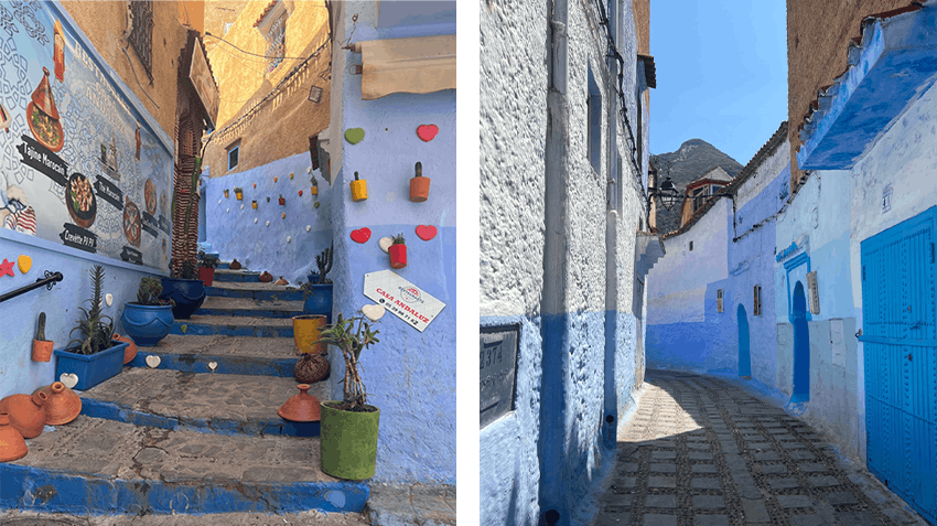 Learning practical skills through my Human Biology & Med-Lab internship in Morocco, with Intern Abroad HQ