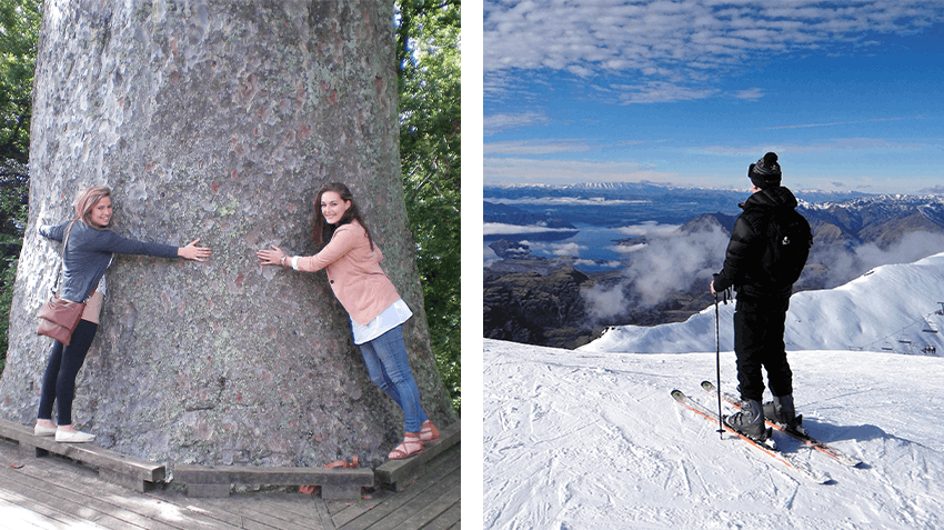 Internships abroad in New Zealand, Intern Abroad HQ