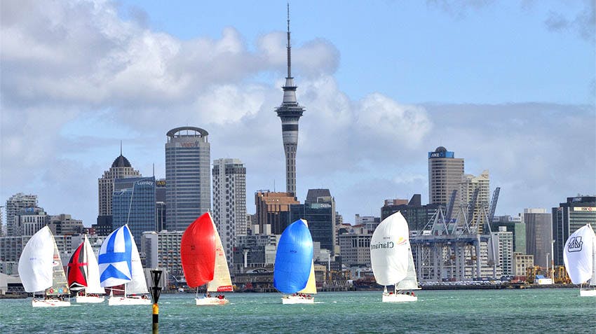 Social Development internships abroad in New Zealand