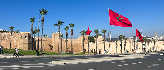 How I used a remote Journalism internship to develop skills needed to work in an interdisciplinary field