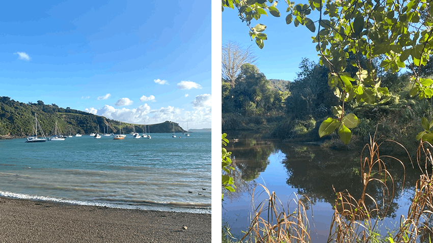What I learned from an Environment & Sustainability internship in New Zealand, with Intern Abroad HQ