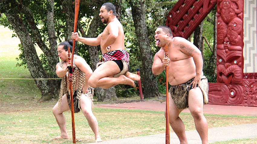 What I learned from an Environment & Sustainability internship in New Zealand, with Intern Abroad HQ