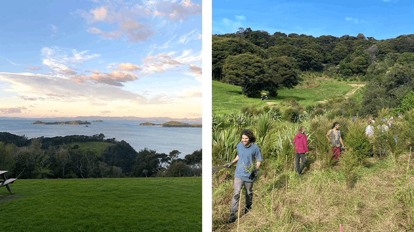 What I learned from an Environment & Sustainability internship in New Zealand, with Intern Abroad HQ