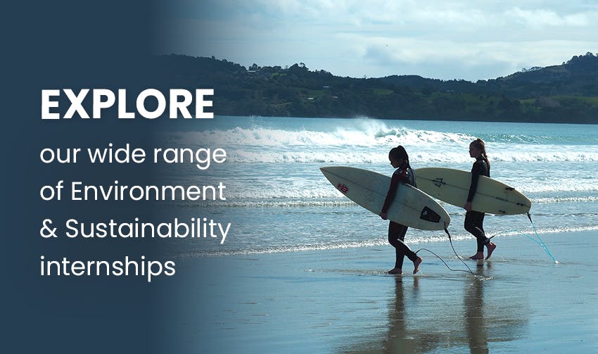 What I learned from an Environment & Sustainability internship in New Zealand, with Intern Abroad HQ