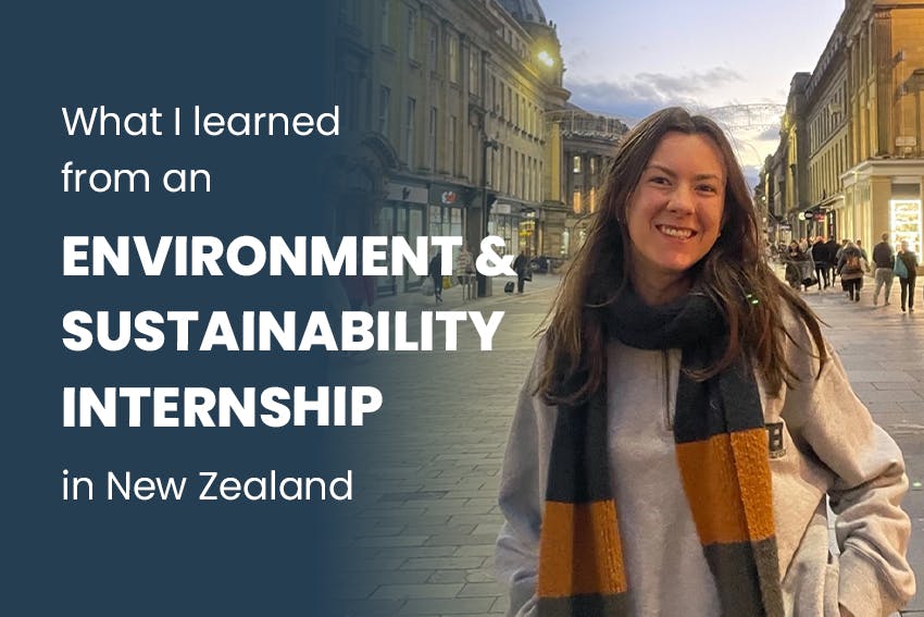 What I learned from an Environment & Sustainability internship in New Zealand, with Intern Abroad HQ