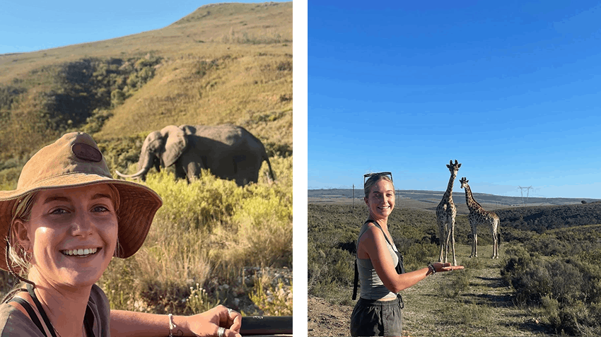 Best Internships for the Turing Scheme, Intern Abroad HQ