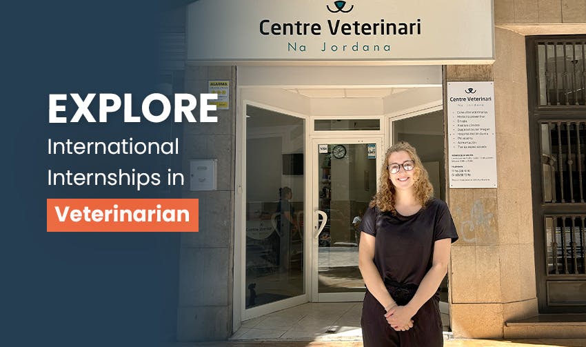 Explore International Internships in Veterinary & Animal Care