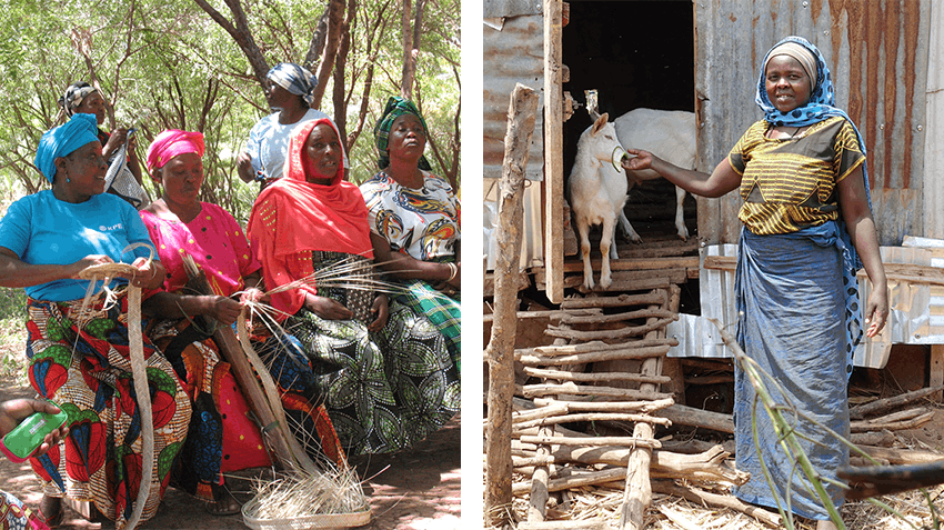 Enhancing my skills during my gap year with a remote internship, with Intern Abroad HQ