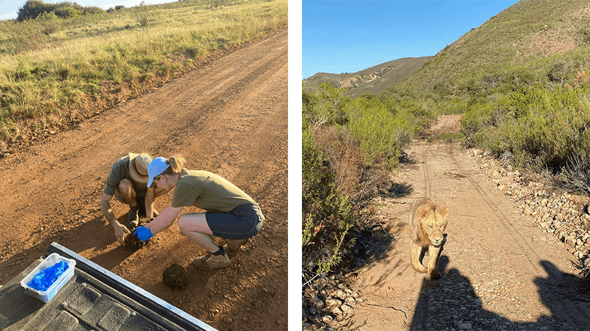 Gaining confidence in QGIS skills through an internship in South Africa, Intern Abroad HQ