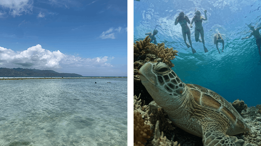 How I discovered a change of pace through a Civil Engineering internship in Bali, Intern Abroad HQ