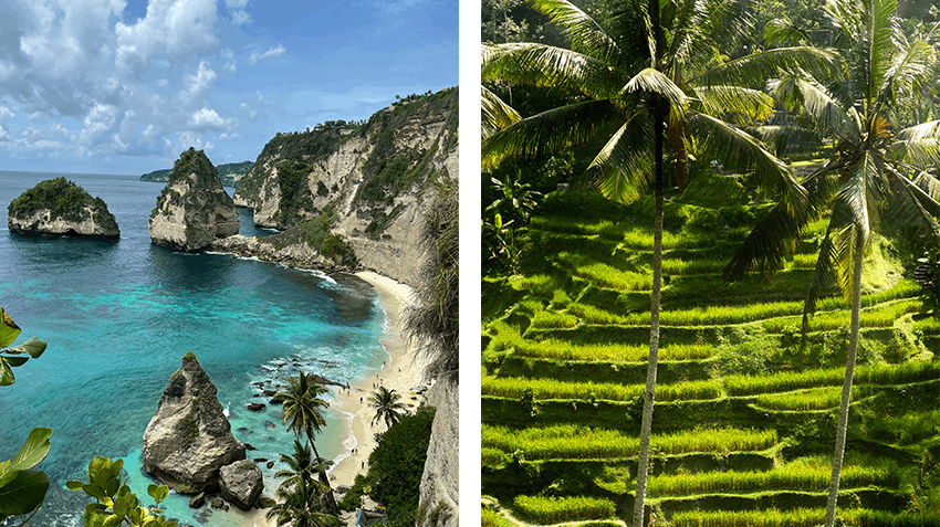 How I gained fresh cultural and career perspectives as an intern in Bali