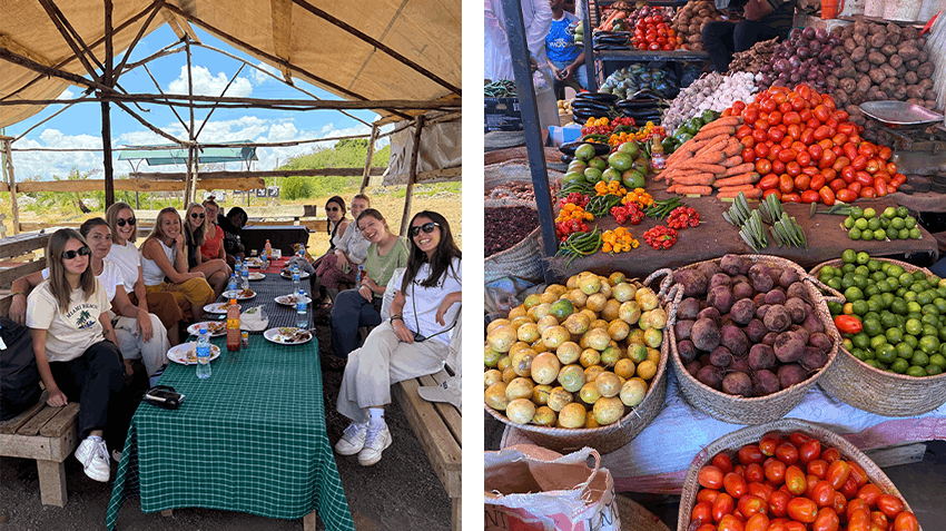 Insider Insights: My Journey to Arusha, Tanzania as an Intern Abroad Program Manager, Intern Abroad HQ