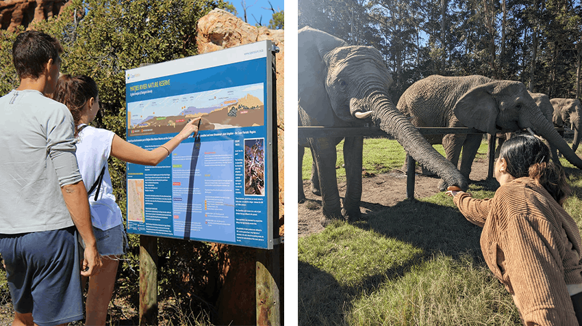 My advice for future Physical Therapy interns in South Africa, Intern Abroad HQ