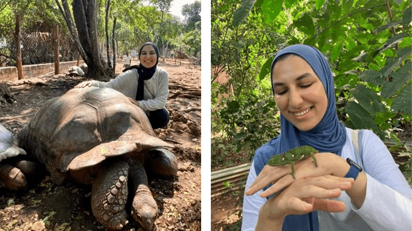 Reflecting Upon My Clinical Psychology Internship in Zanzibar, with Intern Abroad HQ