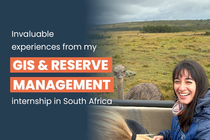 The invaluable experiences from my GIS & Reserve Management Internship in South Africa, Intern Abroad HQ