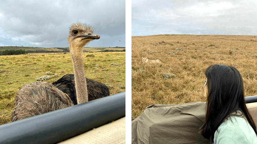 The invaluable experiences from my GIS & Reserve Management Internship in South Africa, Intern Abroad HQ