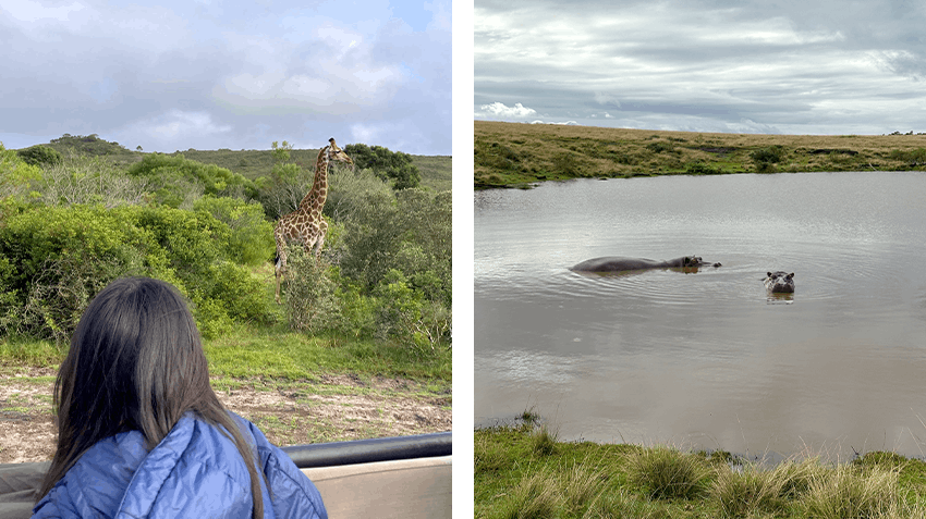 Fostering meaningful connections on a Human Resource Management internship in Spain, Intern Abroad HQ