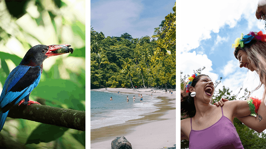 Intern in 2025 & 2026 - Athens