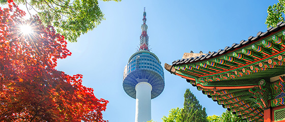 What it’s like to intern in Seoul: A day in the life