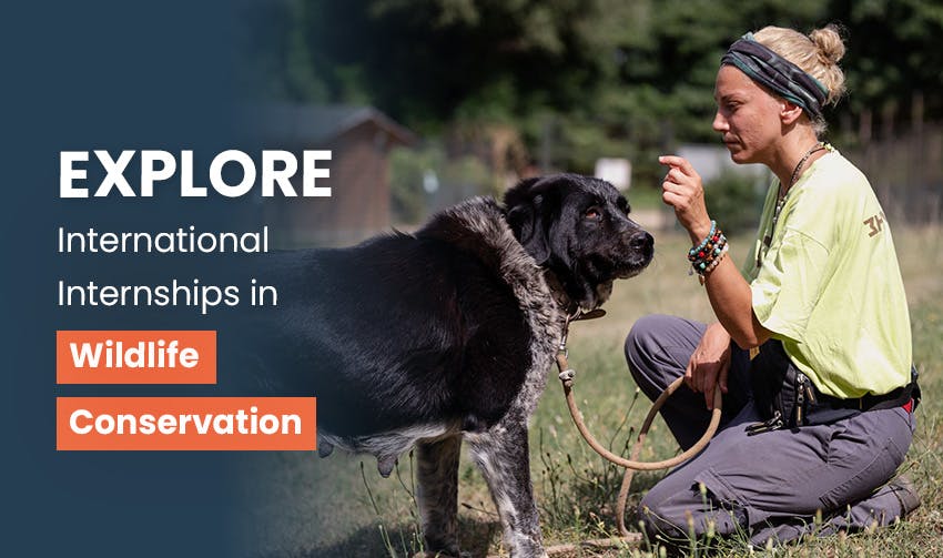 Explore internships abroad