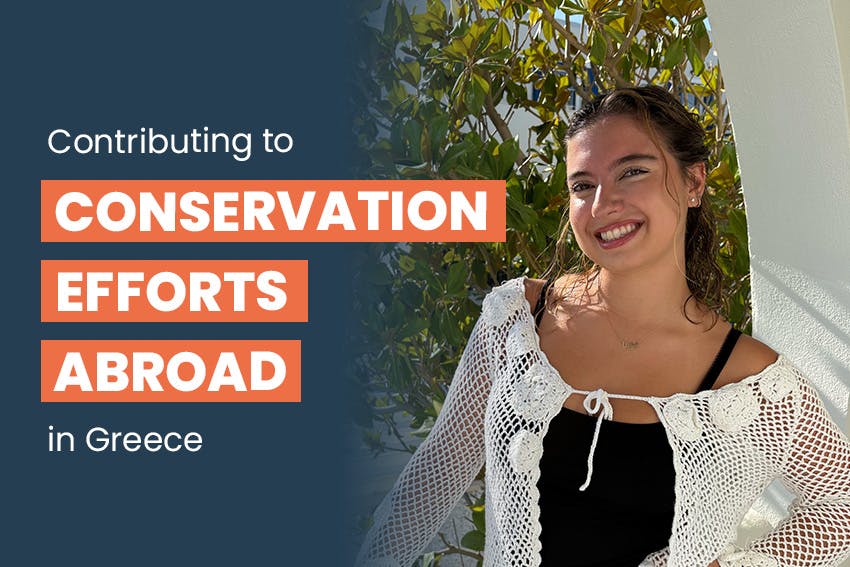 Contributing to Conservation efforts abroad in Greece, Intern Abroad HQ