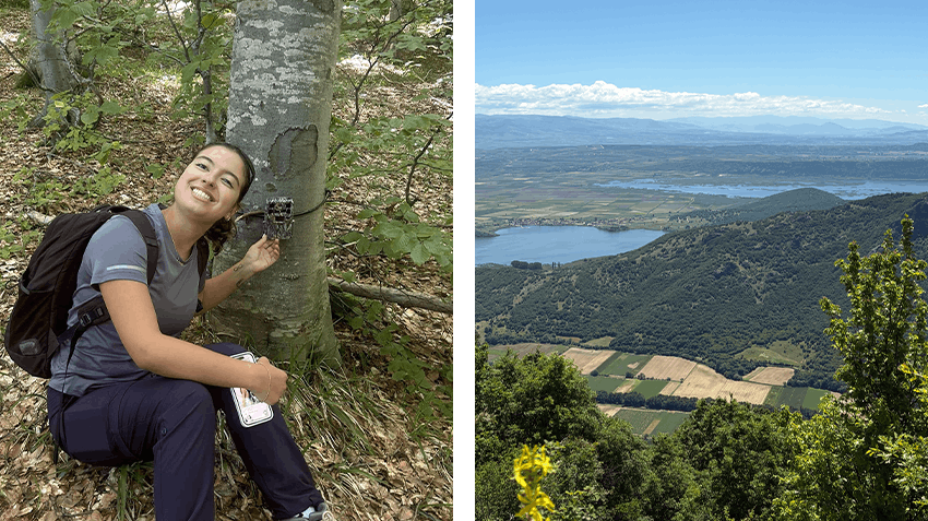 Contributing to Conservation efforts abroad in Greece, Intern Abroad HQ