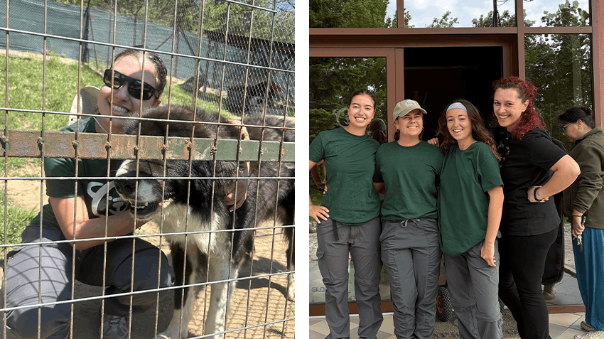 Contributing to Conservation efforts abroad in Greece, Intern Abroad HQ