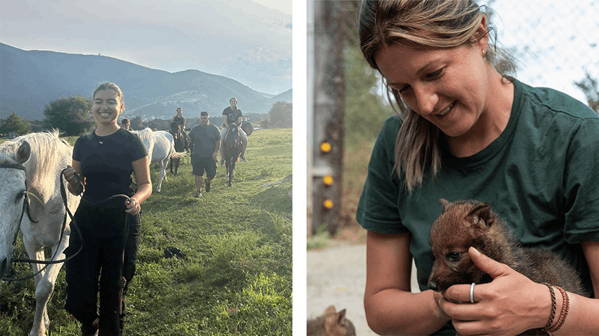 Contributing to Conservation efforts abroad in Greece, Intern Abroad HQ