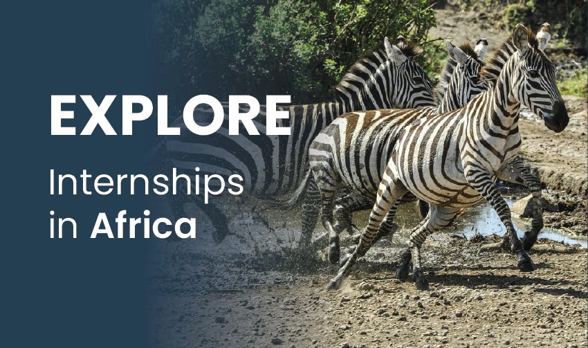 Explore internships in Africa with Intern Abroad HQ