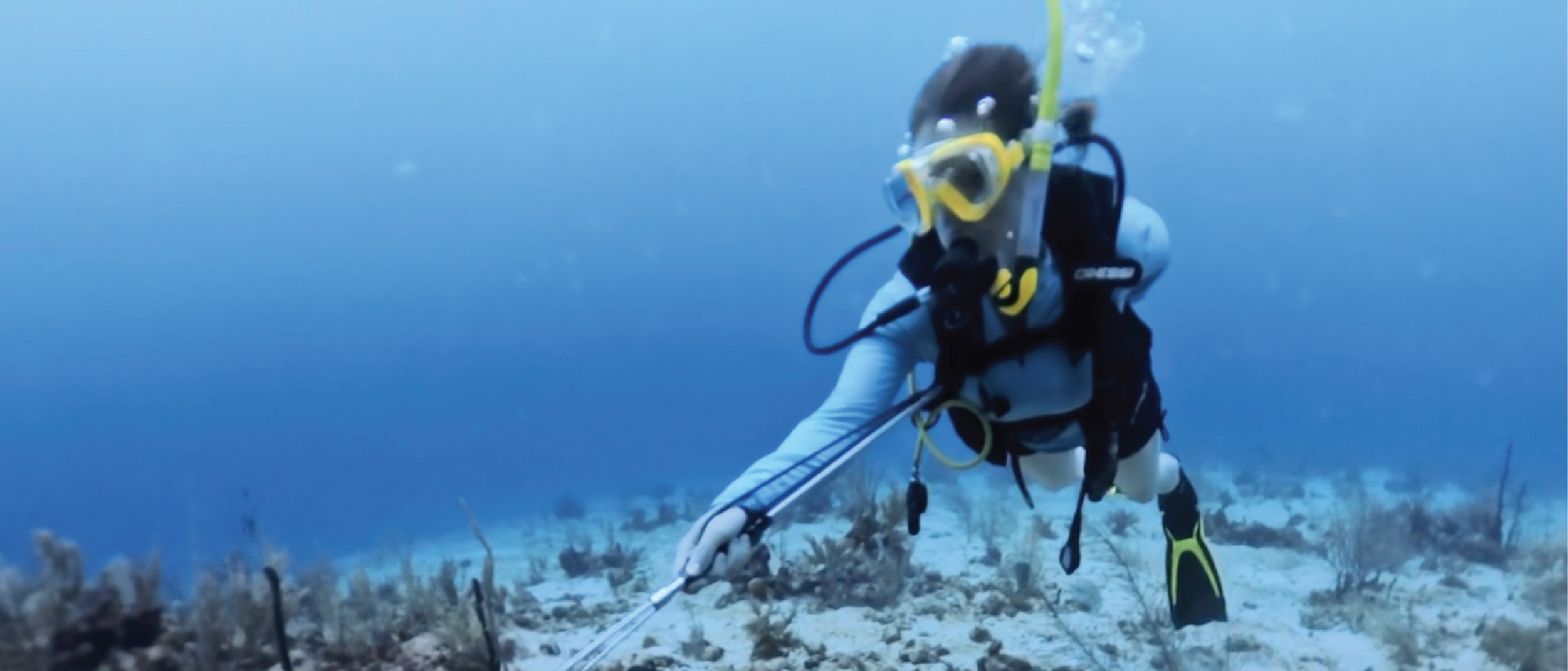 Chelsea, a WSU AmeriCorps alum, traveled to Belize with International Volunteer HQ, to join a Marine Conservation volunteer project, with the text How I used my Segal Education Award to fund an international adventure