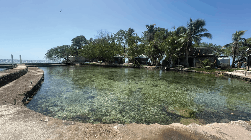 Picturesque view of the Marine Conservation volunteer site in Placencia, Belize