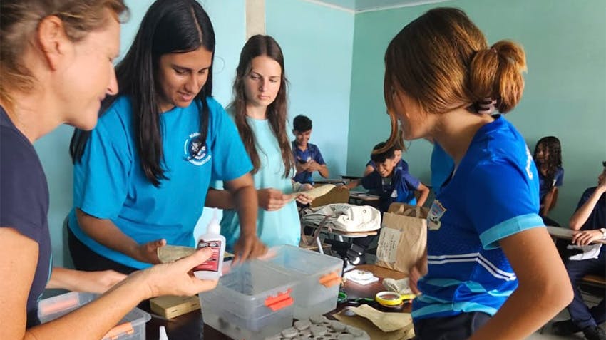 How Marine Conservation Internships make an impact, Intern Abroad HQ