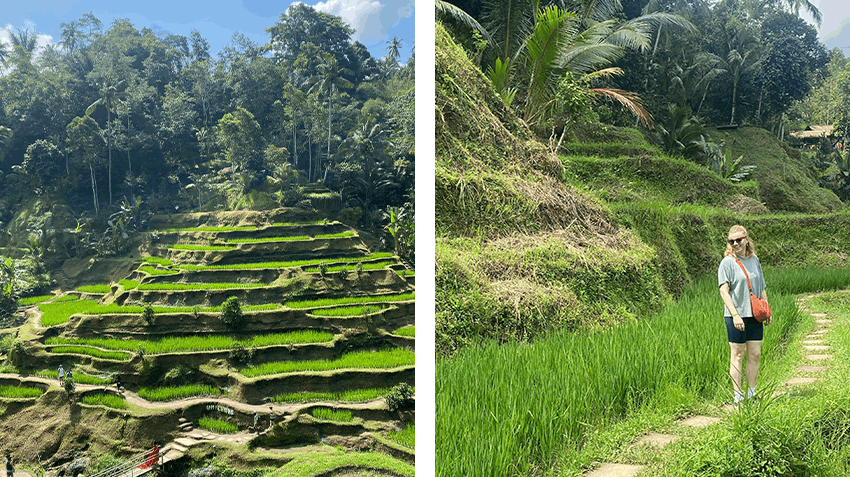 Intern abroad in Bali with Intern Abroad HQ