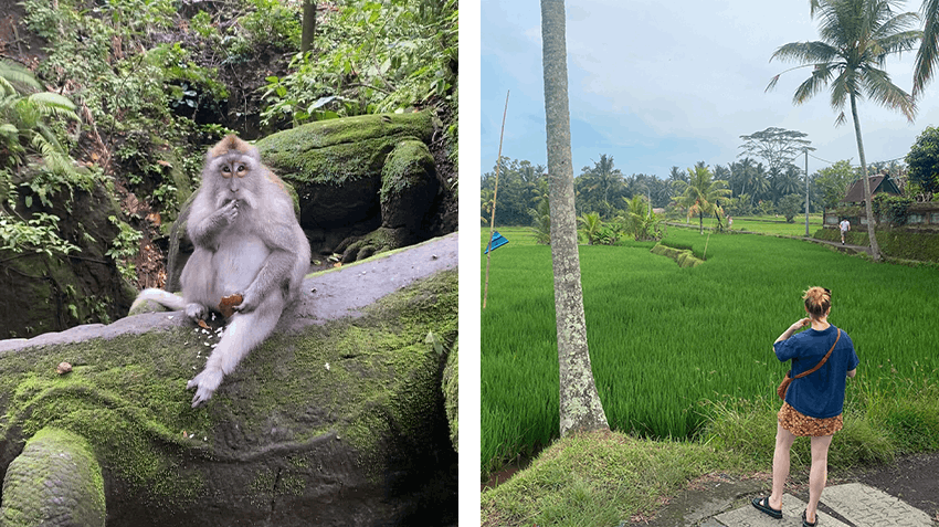 Intern abroad in Bali with Intern Abroad HQ