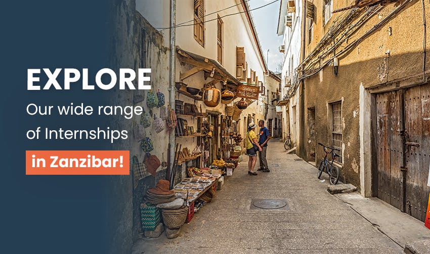 Explore our wide range of internships in Zanzibar
