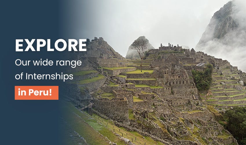 Verónica, Program Manager de Intern Abroad HQ en Cusco, Perú, comparte su experiencia y perspectivas, con el texto Explora nuestra amplia gama de prácticas profesionales en Perú.