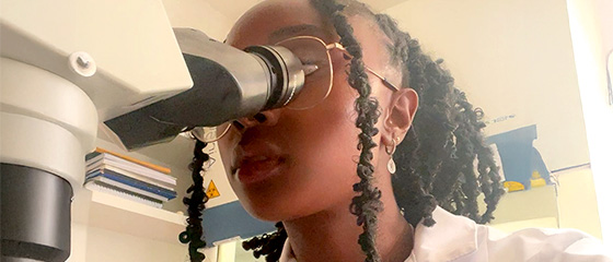 My report of a Microbiology and Immunology internship in Morocco