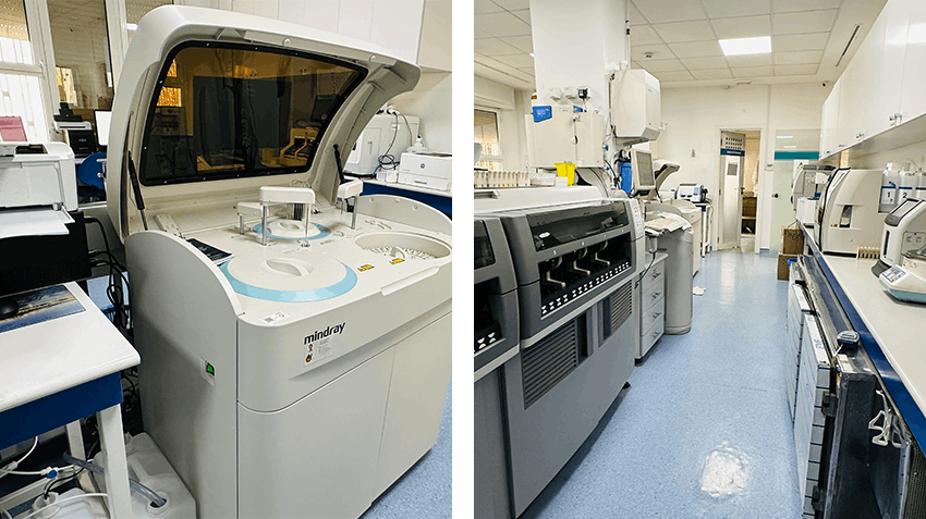 My report of a Microbiology and Immunology internship in Morocco, Intern Abroad HQ