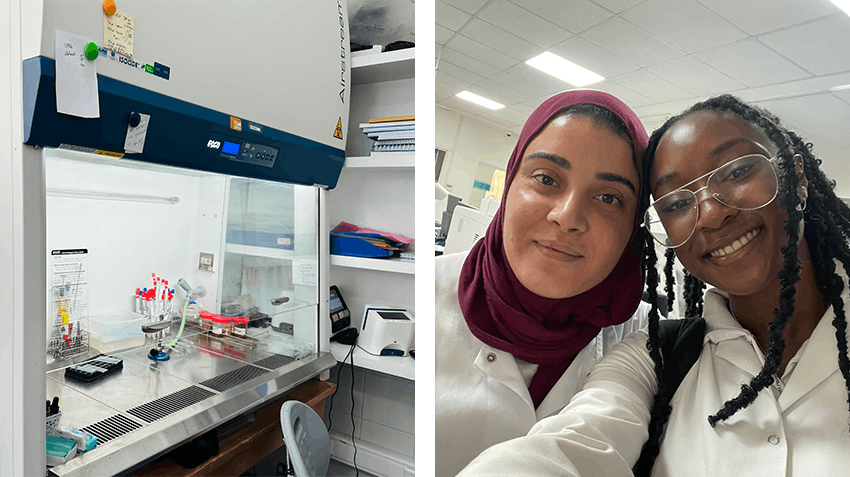 My report of a Microbiology and Immunology internship in Morocco, Intern Abroad HQ