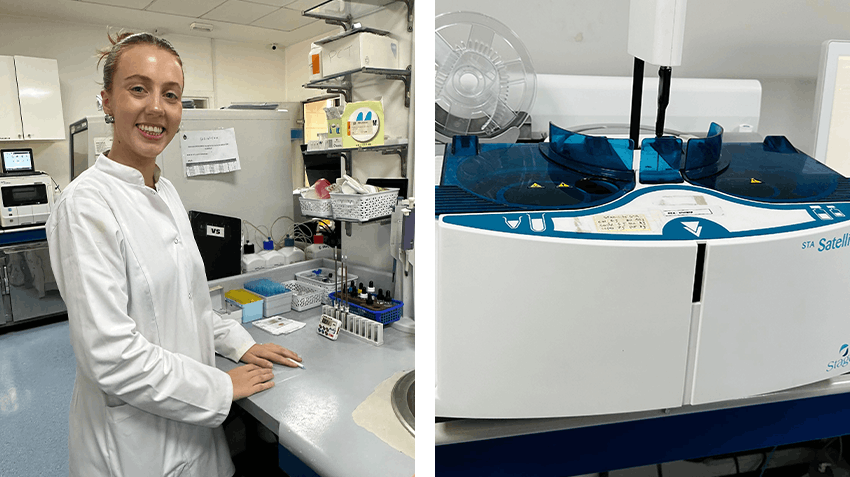 My report of a Microbiology and Immunology internship in Morocco, Intern Abroad HQ