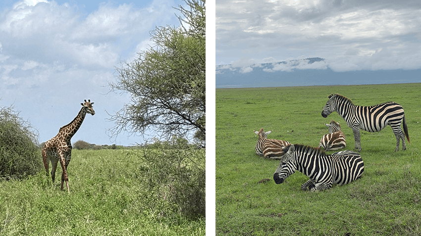 Rosie-May Proudlove's experience on her Neonatal Care & Children's Health Internship in Tanzania with Intern Abroad HQ.