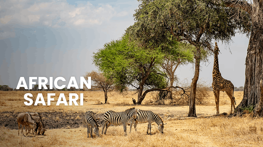 Intern Abroad and Make Your Travel Bucket List a Reality, Intern Abroad HQ