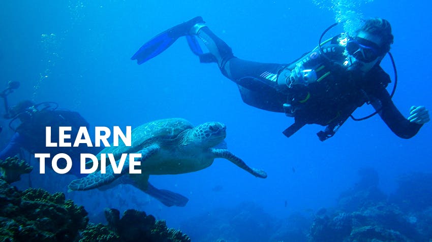 Intern Abroad and Make Your Travel Bucket List a Reality, Intern Abroad HQ