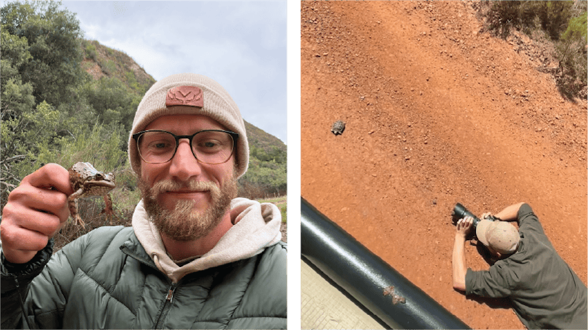 Nick is pictured holding up a frog on the left, on the right, Nick is pictured laying on the ground in order to take a close up photograph of a little tortoise