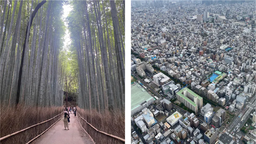 On the left, a peaceful garden path is pictured, on the right, an aeriel view of urban Tokyo