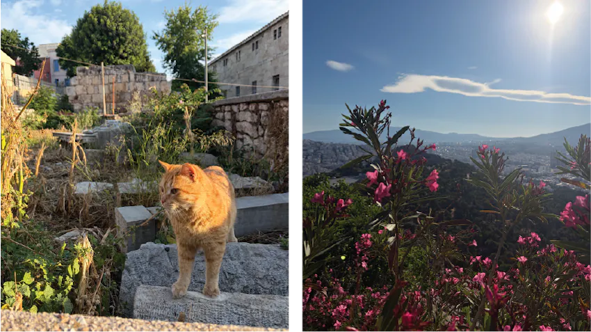 Photos in Greece, on the left, a ginger cat is posing on some concrete blocks, on the right, a scenic vista on a sunny day with blue skies